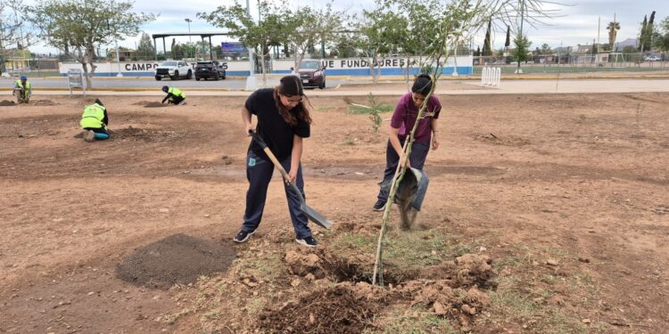 Reforestan parque La Huerta Legarreta con 35 árboles