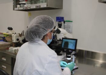 Integran grupo para combatir al gusano barrenador