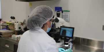 Integran grupo para combatir al gusano barrenador