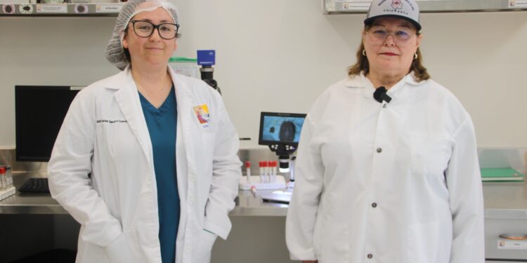 Integran grupo para combatir al gusano barrenador