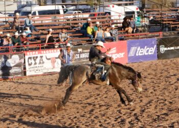 Participan jinetes chihuahuenses en el Mini Bull Series México previo a Olimpiada Nacional