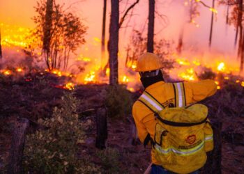 Más de 440 combatientes en línea de fuego para liquidar 23 incendios forestales
