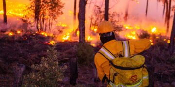 Más de 440 combatientes en línea de fuego para liquidar 23 incendios forestales
