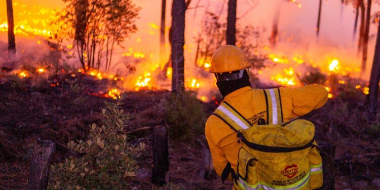 Más de 440 combatientes en línea de fuego para liquidar 23 incendios forestales