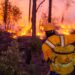 Más de 440 combatientes en línea de fuego para liquidar 23 incendios forestales