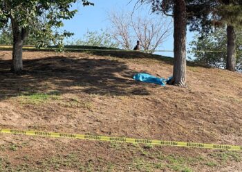 Encuentran a hombre sin vida en Parque El Palomar
