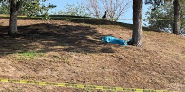 Encuentran a hombre sin vida en Parque El Palomar