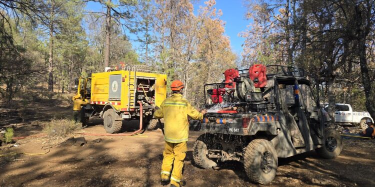 Trasladan insumos para brigadistas que combaten incendios forestales en Madera
