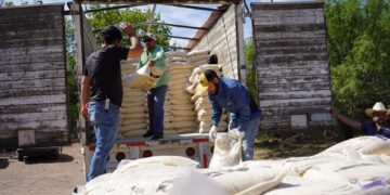 Benefician a productores pecuarios con alimento para ganado