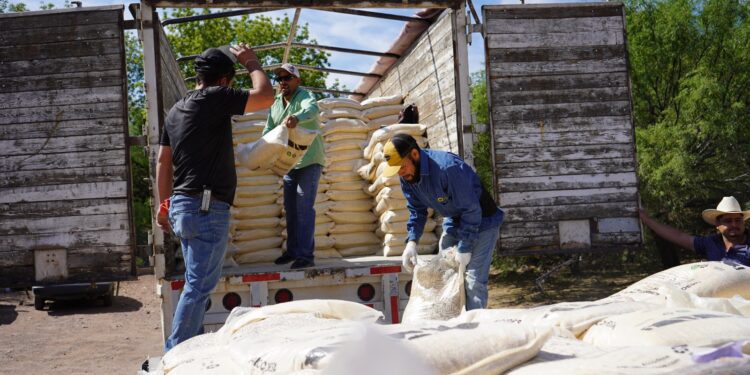 Benefician a productores pecuarios con alimento para ganado