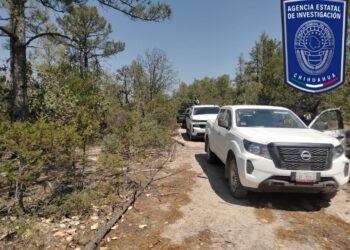 Operativos para combatir delitos ambientales en Guachochi