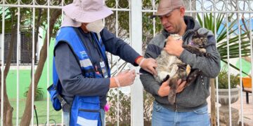 Benefició IMPAS a más de 4 mil personas con “El Patio de mi Casa” en mayo