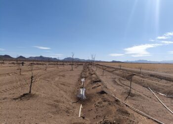 Desarrollo Rural abre convocatoria para apoyos en infraestructura hídrica