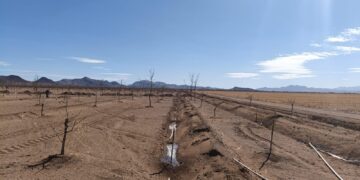 Desarrollo Rural abre convocatoria para apoyos en infraestructura hídrica