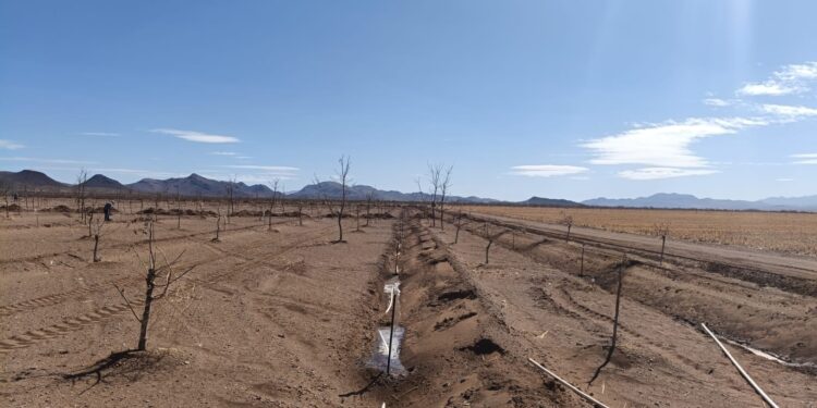Desarrollo Rural abre convocatoria para apoyos en infraestructura hídrica