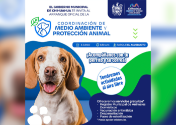 Invitan al arranque de la Coordinación de Medio Ambiente y Protección Animal