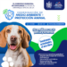 Invitan al arranque de la Coordinación de Medio Ambiente y Protección Animal