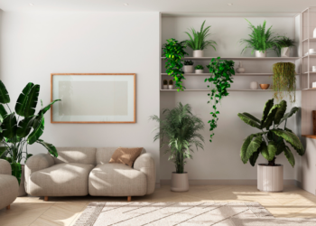 Medidas para reducir el calor sin subir el consumo de luz en los hogares