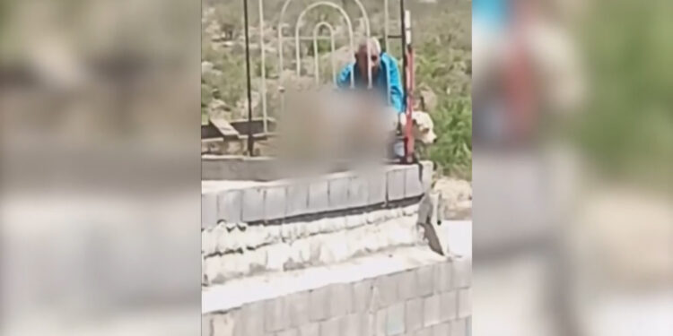 Denuncian presunto caso de zoofilia en Riberas de Sacramento