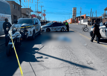 Muere atropellado en la Avenida Pacheco