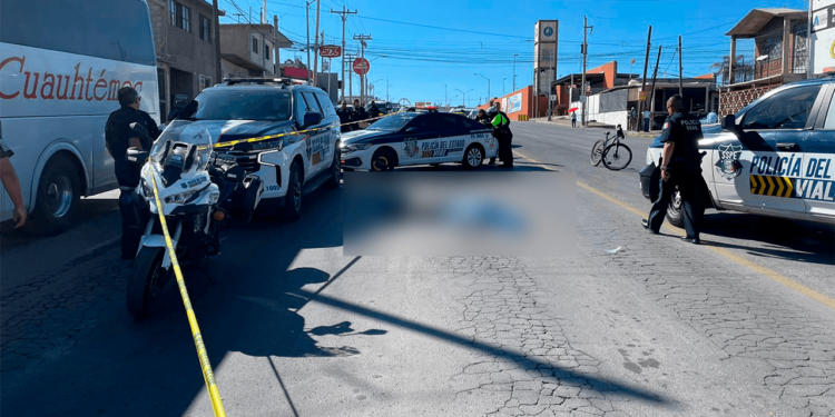 Muere atropellado en la Avenida Pacheco