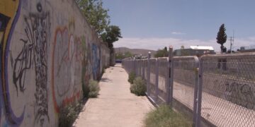 Mujer es hallada con herida de bala en la cabeza en colonia Ignacio Allende