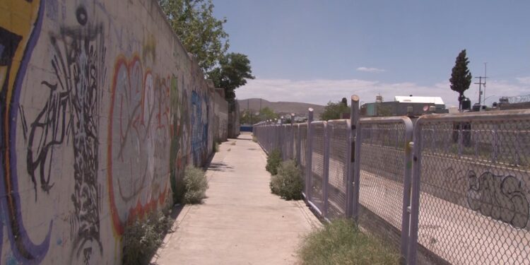 Mujer es hallada con herida de bala en la cabeza en colonia Ignacio Allende