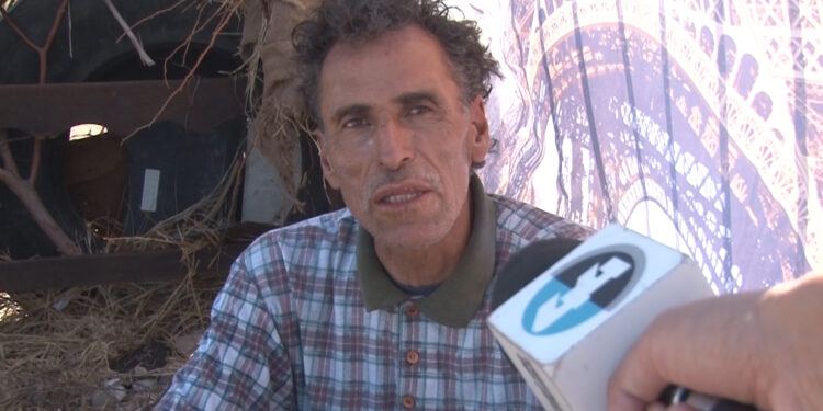 Indigna hallazgo de perros en chapopote en Sierra Azul