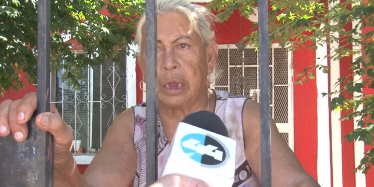 Indigna hallazgo de perros en chapopote en Sierra Azul