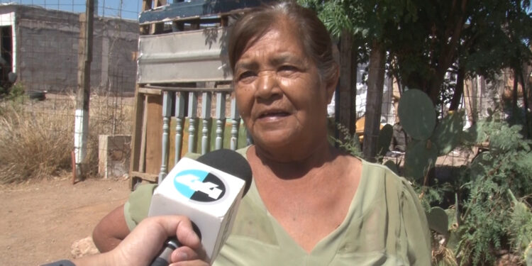 Indigna hallazgo de perros en chapopote en Sierra Azul