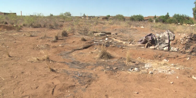 Indigna hallazgo de perros en chapopote en Sierra Azul