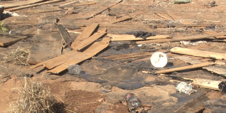 Indigna hallazgo de perros en chapopote en Sierra Azul