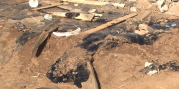 Indigna hallazgo de perros en chapopote en Sierra Azul