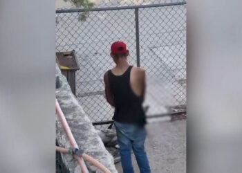 Denuncian maltrato animal con hacha en la colonia Tarahumara