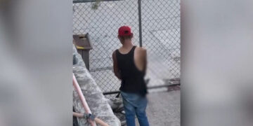 Denuncian maltrato animal con hacha en la colonia Tarahumara