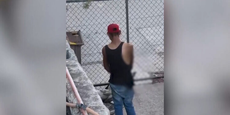 Denuncian maltrato animal con hacha en la colonia Tarahumara