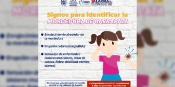 Detectar a tiempo la mordedura de garrapata puede salvar vidas