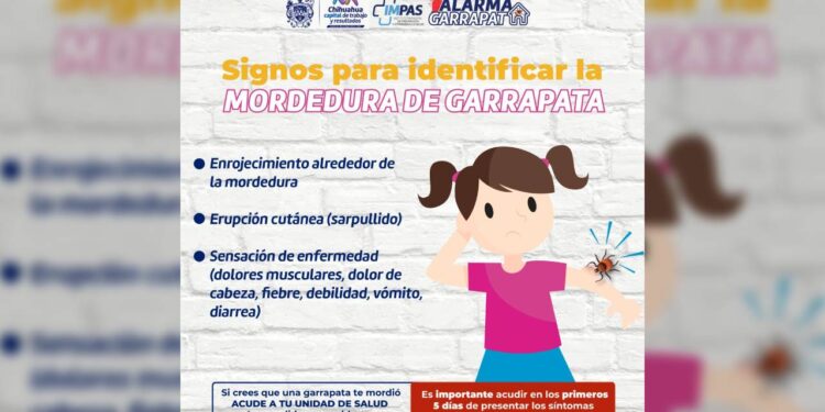 Detectar a tiempo la mordedura de garrapata puede salvar vidas