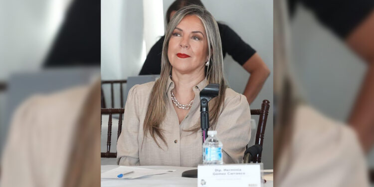 Alarmante 4o lugar en homicidios dolosos: Rosana Díaz