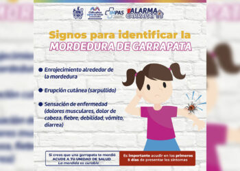 Señales que pueden ayudar a reconocer la mordedura de garrapata