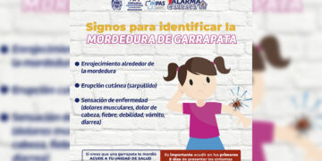 Señales que pueden ayudar a reconocer la mordedura de garrapata