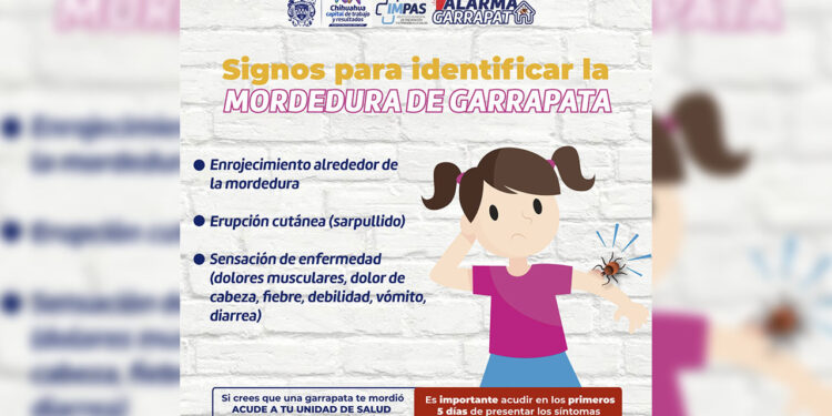 Señales que pueden ayudar a reconocer la mordedura de garrapata