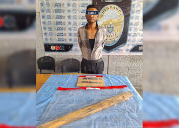 Sujeto es acusado de golpear y matar a un perro con una tabla