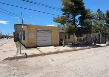 Condenan vecinos ataque con hacha a perro en la colonia Tarahumara