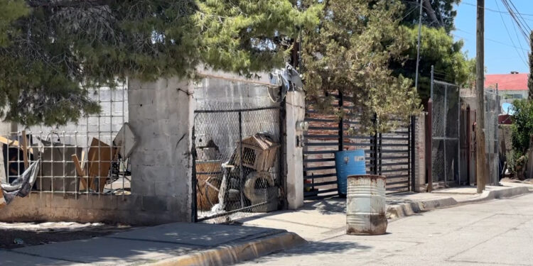 Condenan vecinos ataque con hacha a perro en la colonia Tarahumara