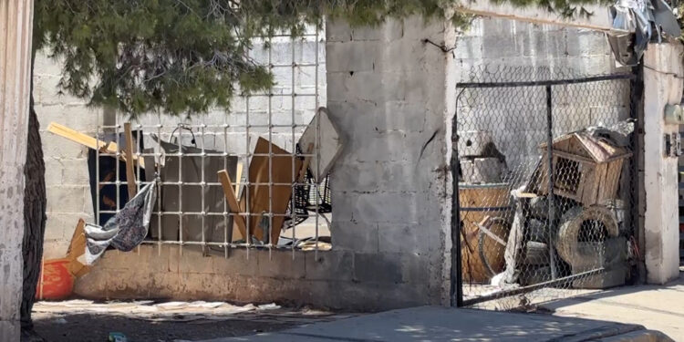 Condenan vecinos ataque con hacha a perro en la colonia Tarahumara