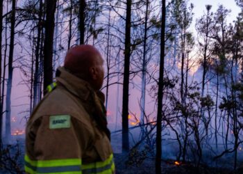 Bajo control el único incendio forestal activo en el estado