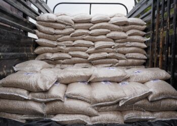 Abren convocatoria para entrega de frijol de consumo para habitantes de la zona rural