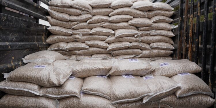 Abren convocatoria para entrega de frijol de consumo para habitantes de la zona rural