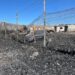 Voraz incendio en terreno baldío quedó reducido a cenizas